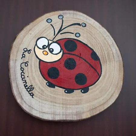 La Nuova Coccinella * Bra
