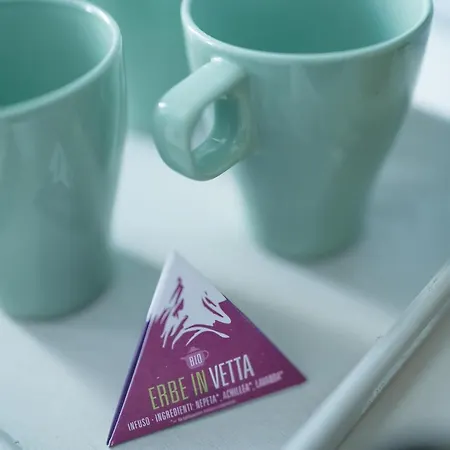 La Nuova Coccinella ゲストハウス