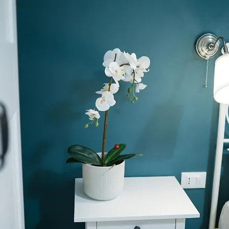 La Nuova Coccinella Pensionat 3*