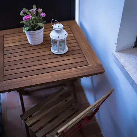 La Nuova Coccinella ゲストハウス