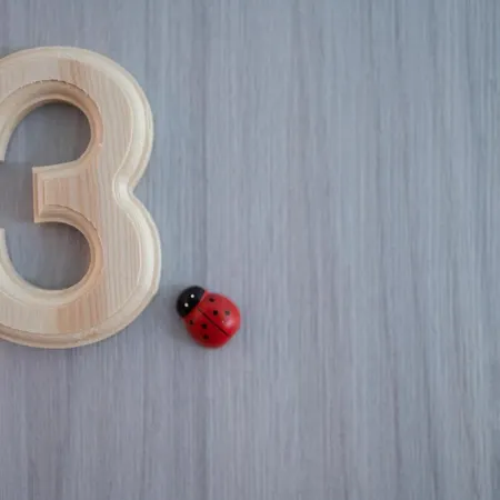 Affittacamere La Nuova Coccinella